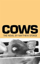 Cows